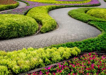 Luxury landscape design of the tropical garden. Beautiful view of landscaped tropical garden.