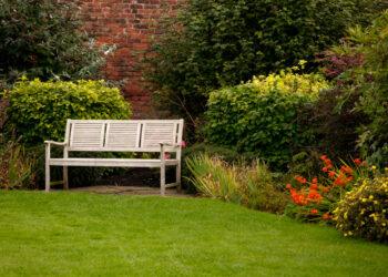 A shot of a white bench in a park