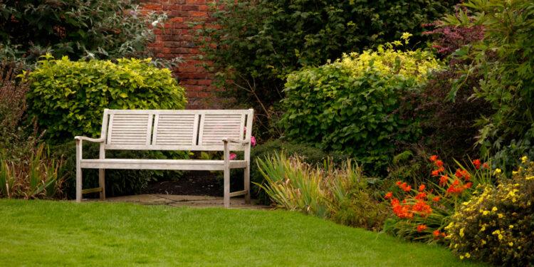 A shot of a white bench in a park