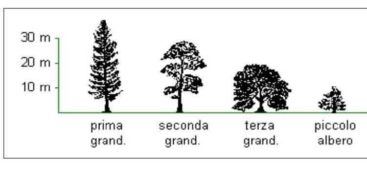 alberi giardini