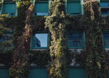 eco-friendly building with green plants in Europe. eco architecture