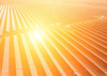 Aerial top view of a solar panels power plant. Photovoltaic solar panels at sunrise and sunset in countryside from above. Modern technology, climate care, earth saving, renewable energy concept
