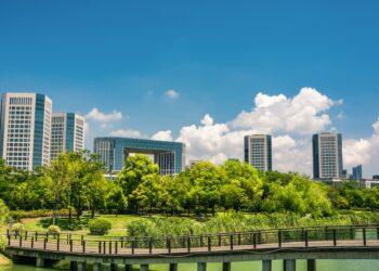 The cityscape