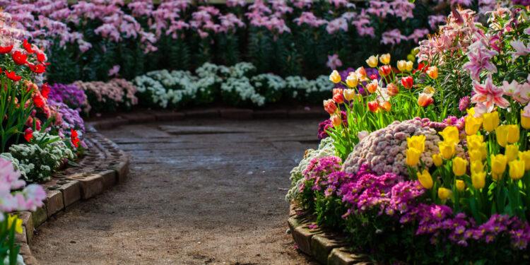 Giardini condominiali, le lavorazioni da fare in primavera