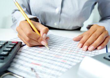 revisore revisore contabile