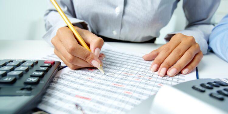 revisore revisore contabile